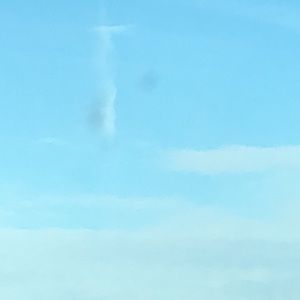 Meet your Posher, Billie